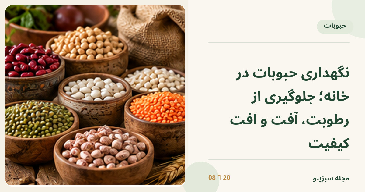کاسه‌های حبوبات خشک مرتب شامل عدس، نخود، لوبیا و بسته‌های کوچک