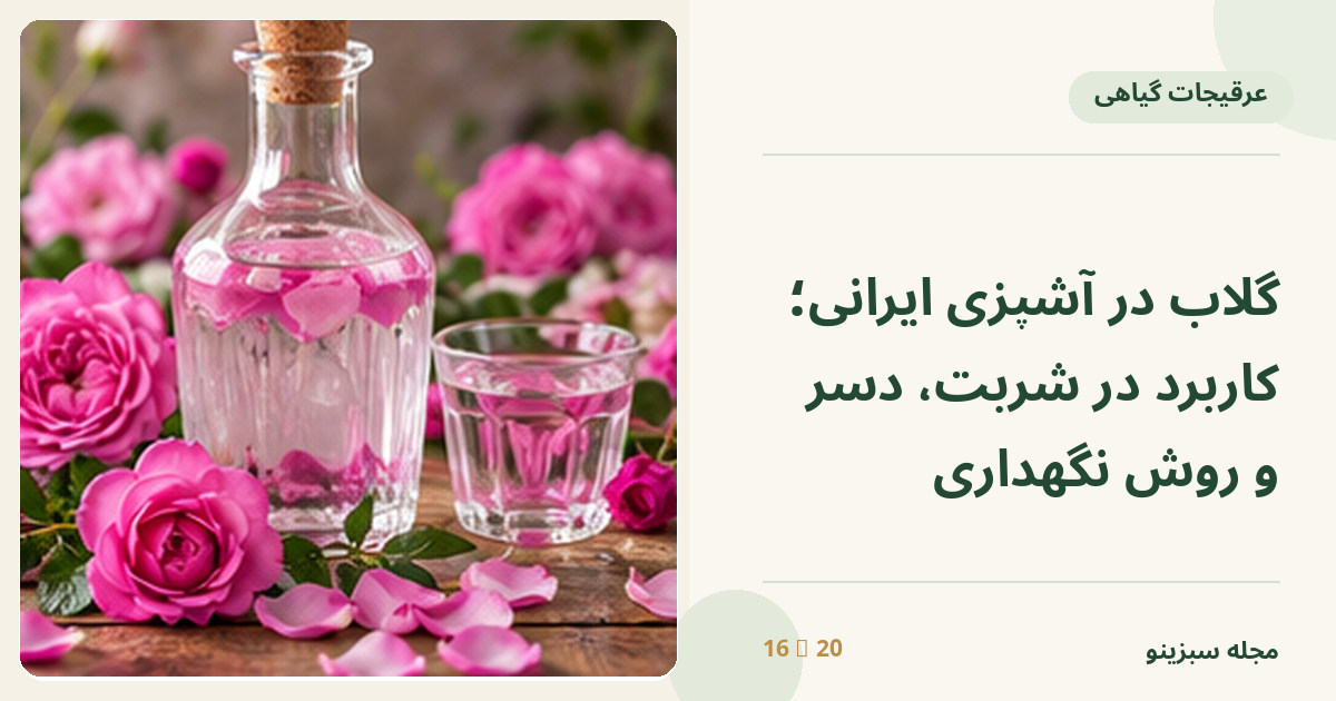 بطری شفاف گلاب کنار گل‌های محمدی صورتی در نور طبیعی
