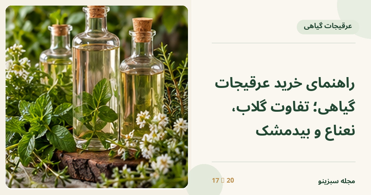 سه بطری شفاف عرقیجات با برگ نعناع و گل‌های معطر در کنار هم